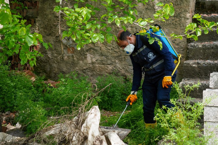 Diyarbakır'da ilaçlama çalışmaları aralıksız sürüyor -