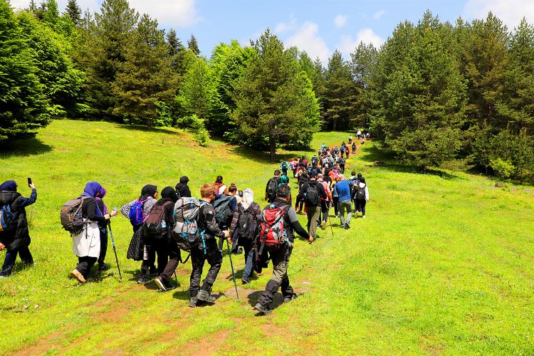 Doğa tutkunlarının rotası Pamukova oldu -