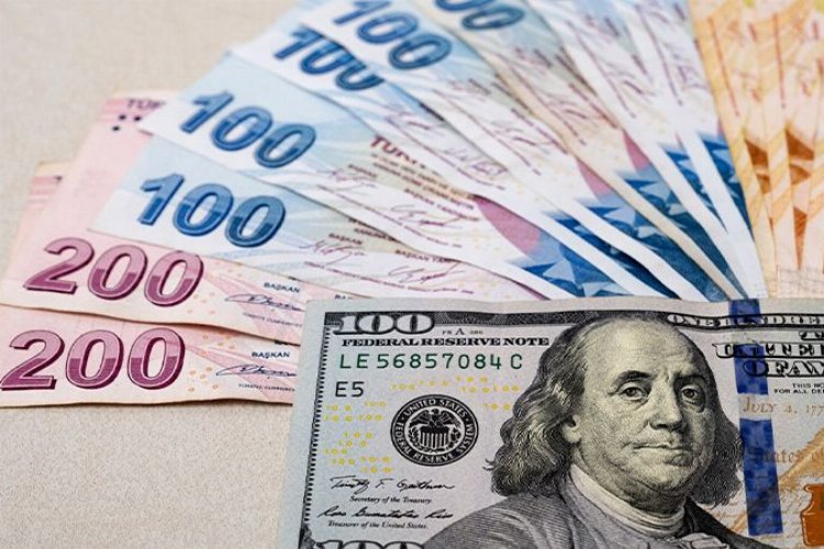 Dolar/TL kuru 25 TL'yi aştı -