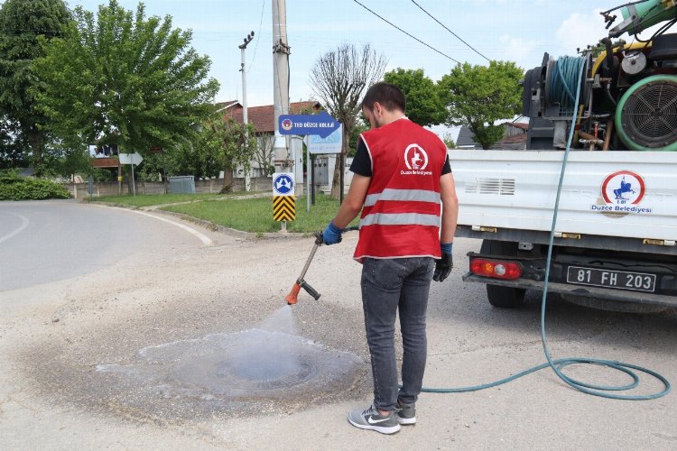 Düzce'de ilaçlama çalışmaları devam ediyor -