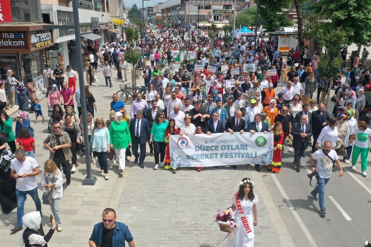 Düzce'nin otlarını dünya tanıyacak -