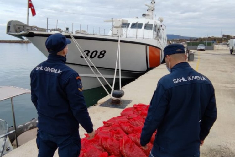 Edirne'de kaçak avlanan akivadesler doğaya bırakıldı -