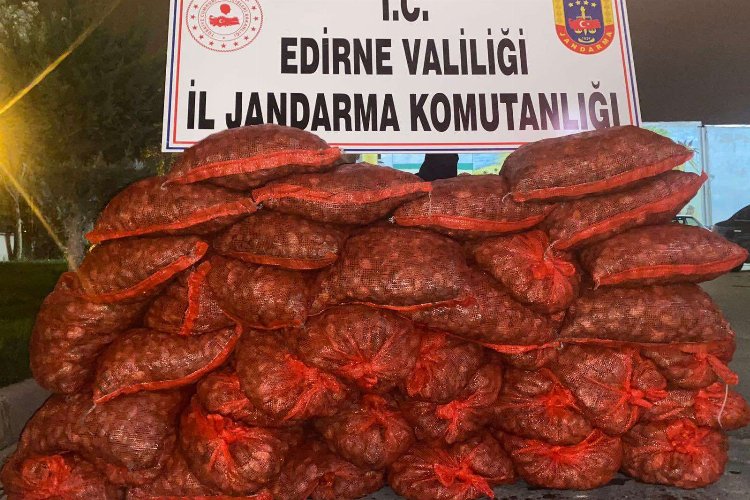 Edirne Jandarması 600 kilogram kaçak midye ele geçirdi -