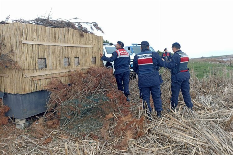 Edirne Jandarması'ndan yasak avcılık operasyonu! -