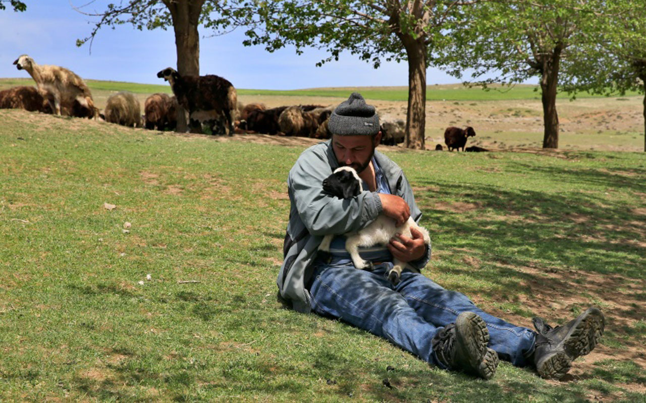 Elazığ’da eski hükümlü devlet desteğiyle besici oldu