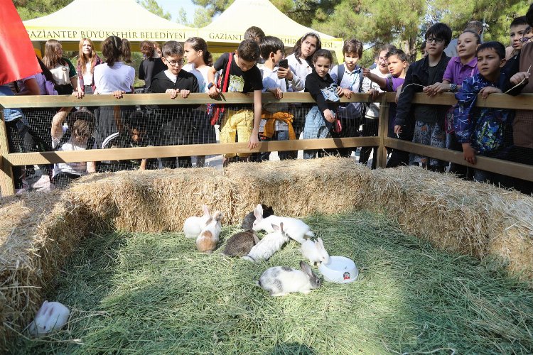 Gaziantep'ten 4 Ekim farkındalığı -