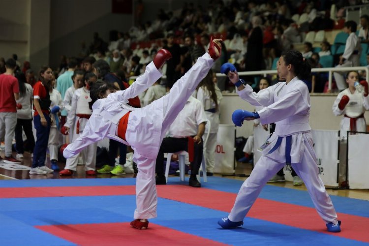 Gemlik'te karate şöleni -