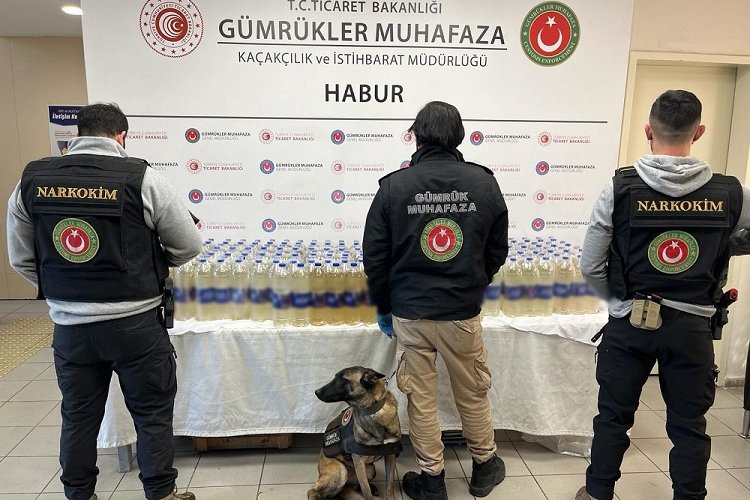 Habur Gümrük Kapısı'nda zehir operasyonu -