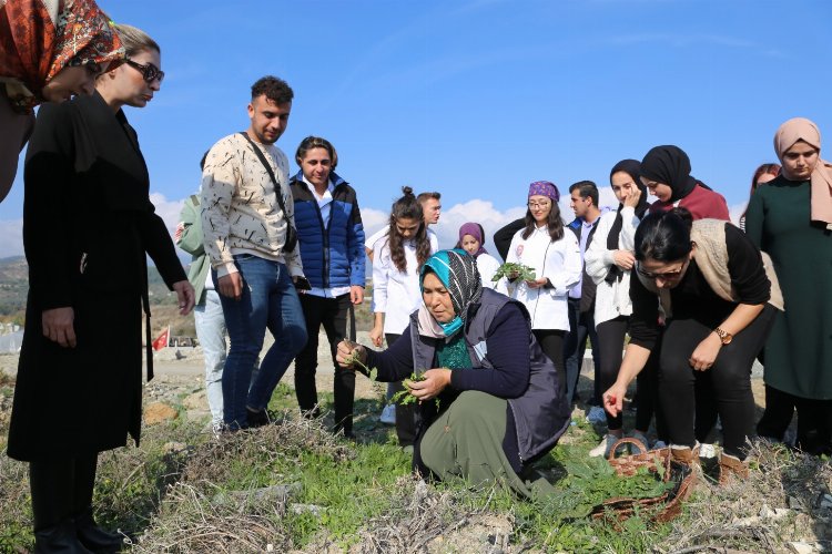 Hatay'da yenebilir otlar öğretildi -