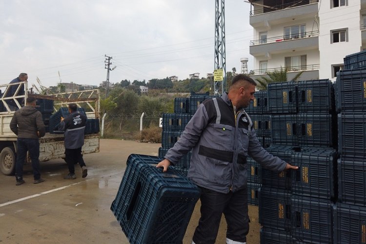 Hataylı zeytin üreticisine sandık dağıtımı -