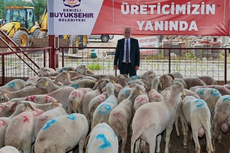 Hayvan üreticilerine büyük destek -