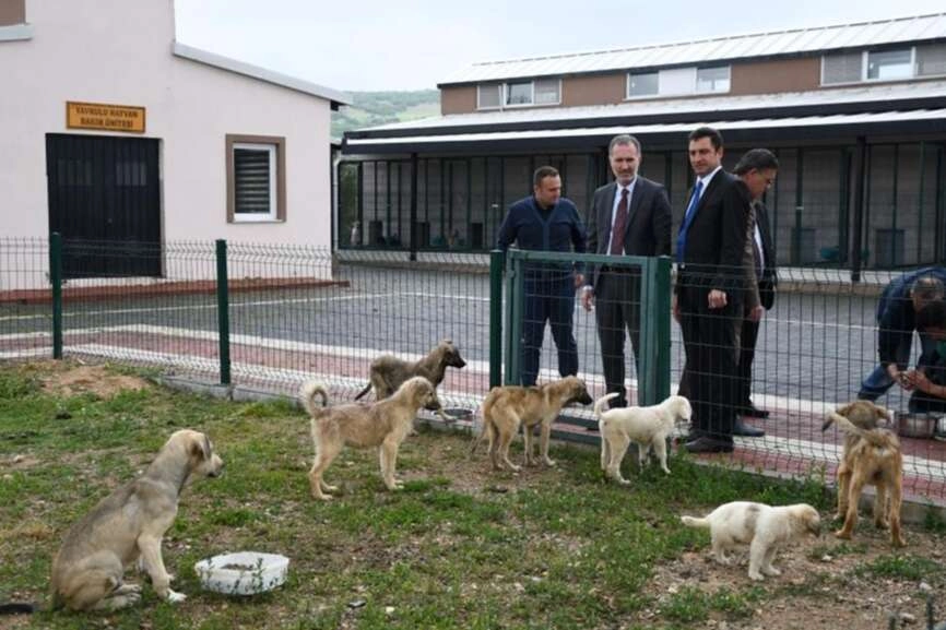 Hayvanları Koruma Kanunu 'Resmi'leşti! -