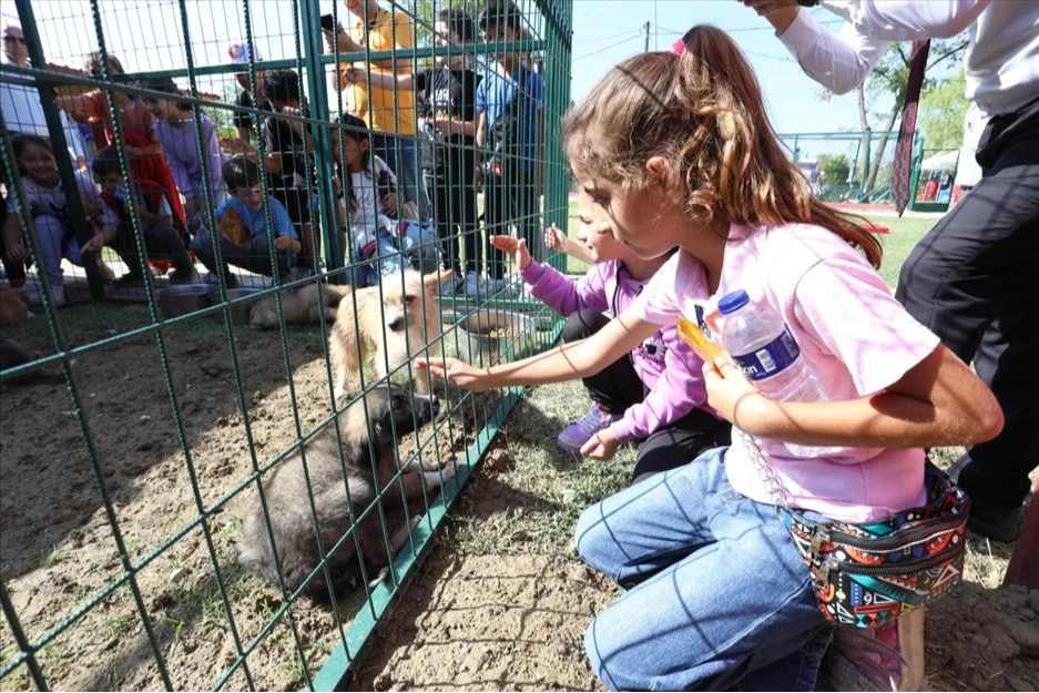 İnegöl'de hayvanları koruma gününe renkli kutlama -