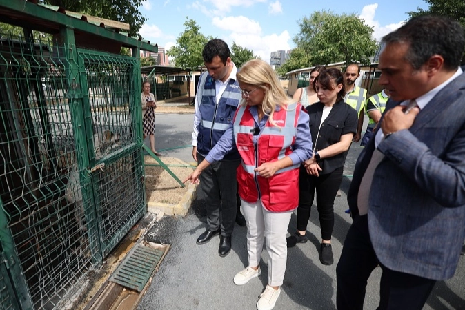 İstanbul Bakırköy can dostlarının yanında -