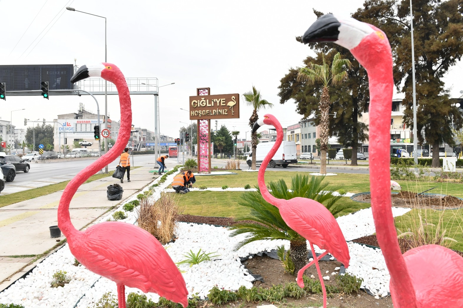 İzmir Çiğli'de ziyaretçileri flamingolar karşılıyor -