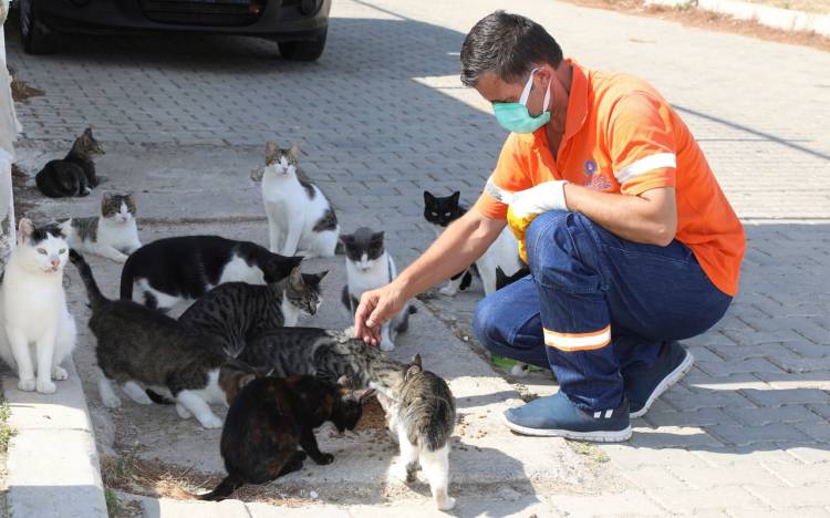 İzmir Gaziemir'de can dostları için farkındalık