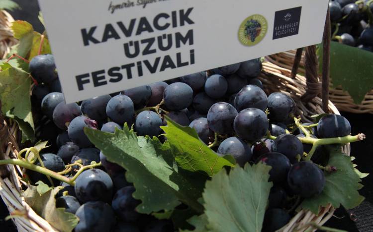 İzmir Karabağlar'da 'Kavacık Üzüm Festivali' hazırlığı