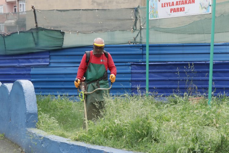 İzmit'te tırpan mesaisi sürüyor -