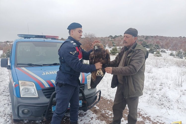 Jandarma yaban hayvanları doğada yalnız bırakmıyor -