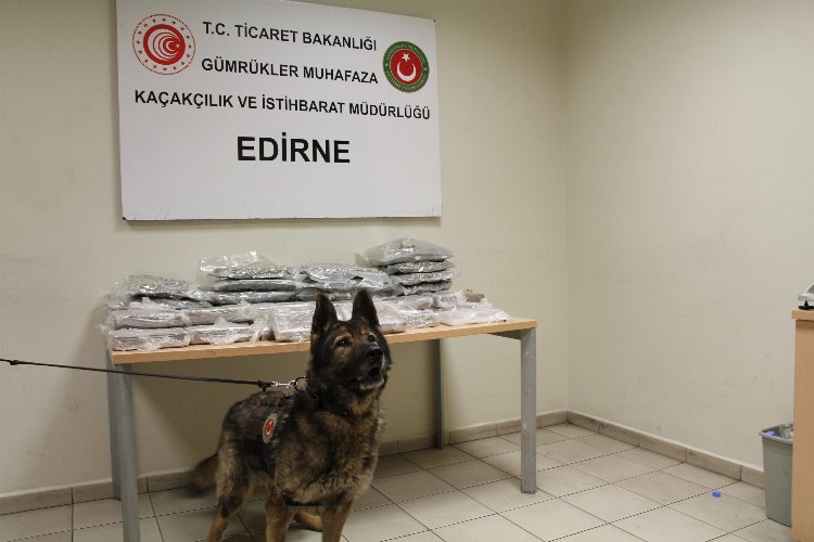 Kapıkule’de 33 kilogram uyuşturucu yakalandı -