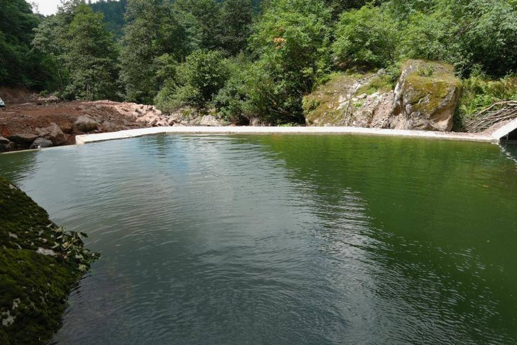 Karadeniz kuraklığa karşı çözümü buldu -