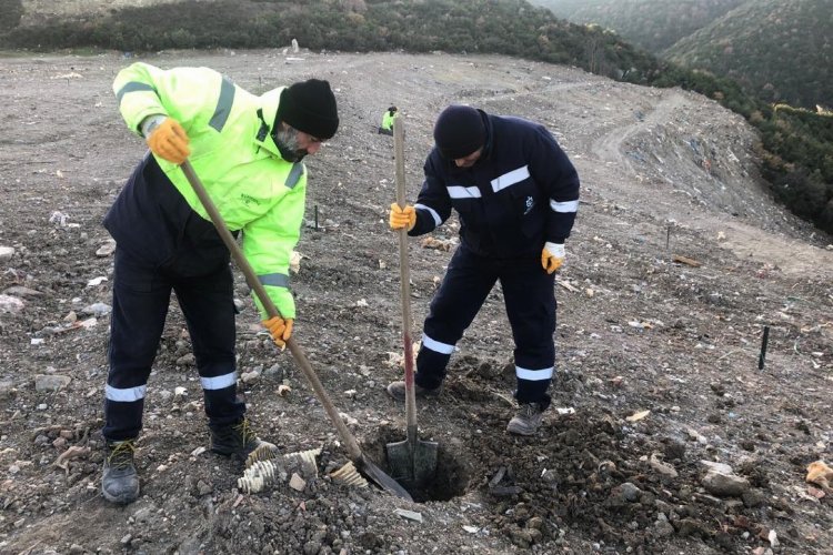 Karamürsel'e bin ağaç fidanı toprakla buluşacak -