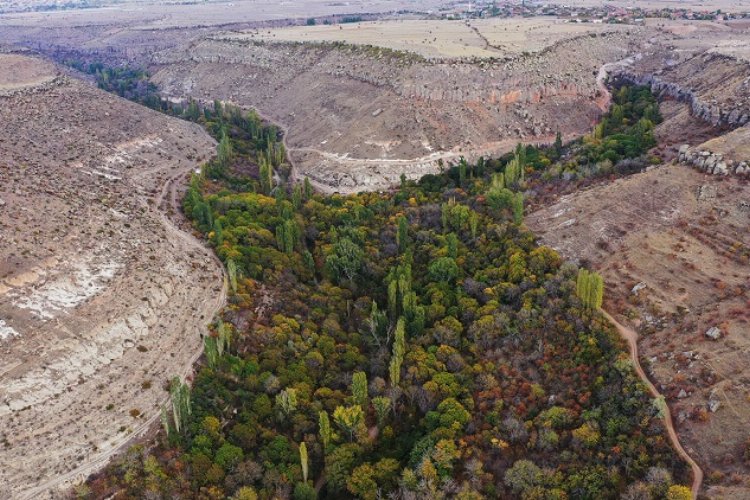 Kayseri Büyükşehir'den Koramaz Vadisi'ne özel çalışma -