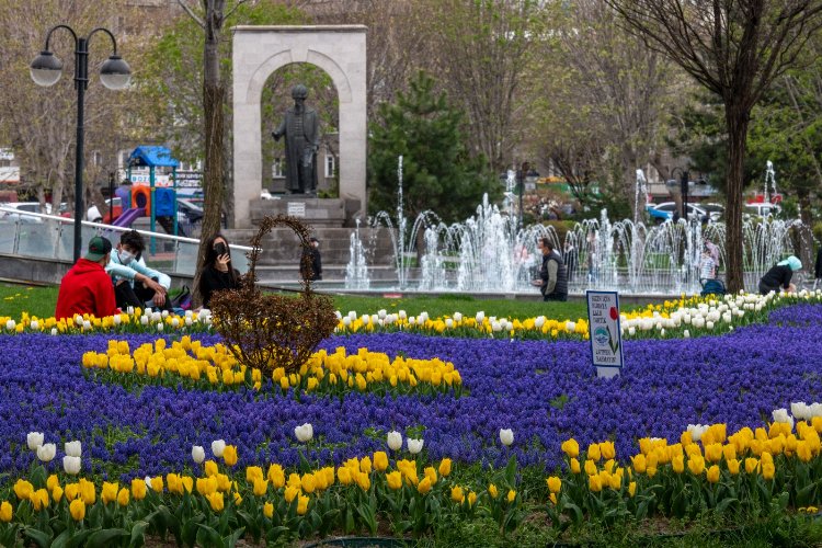 Kayseri Büyükşehir'den 'yeşil' atılım -