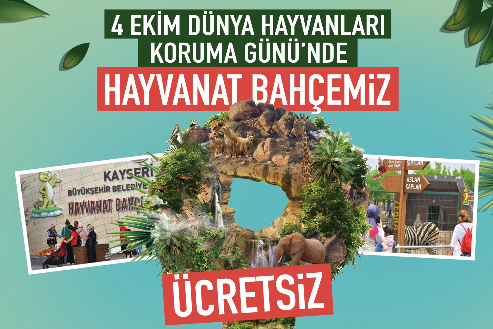 Kayseri'de Hayvanları Koruma Günü’nde “Hayvanat Bahçesi” ücretsiz -