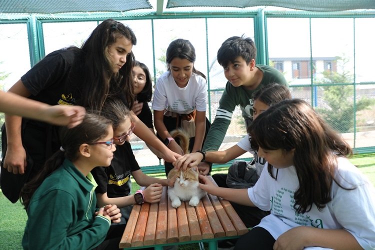 Kayseri Kocasinan'da Kedi Kasabası'na yoğun ilgi -