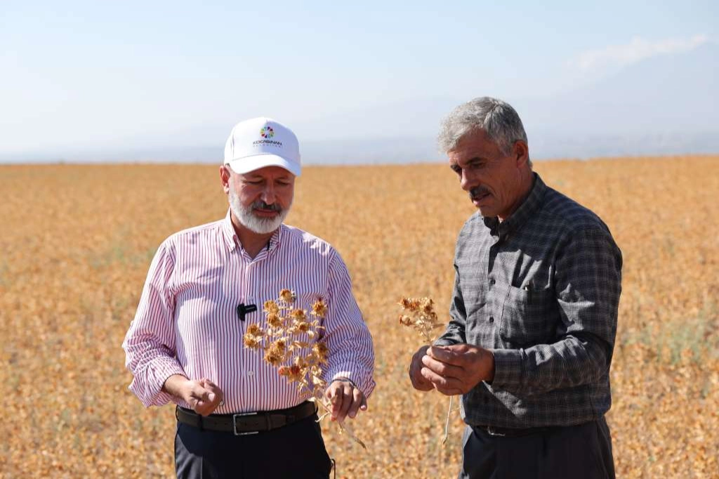 Kayseri Kocasinan'da tarımda farkını gösteriyor -