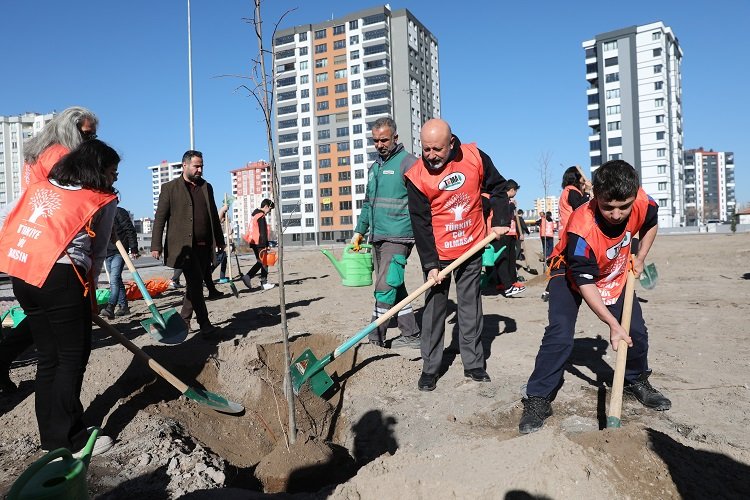 Kayseri Kocasinan'da toplu ağaç dikimi -