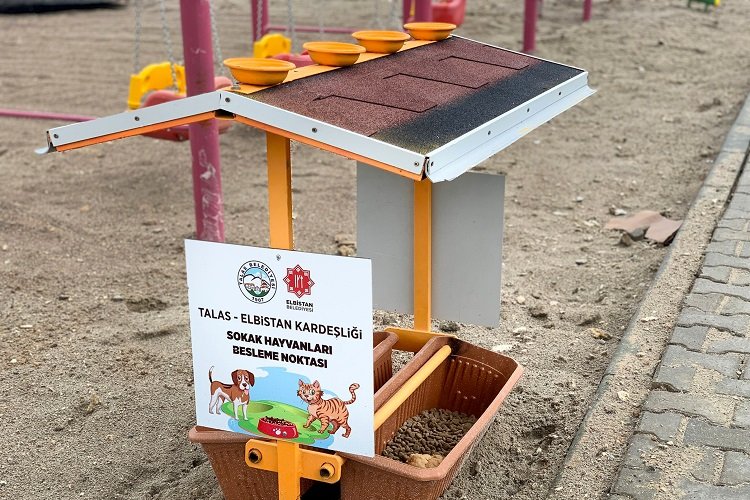 Kayseri Talas deprem bölgesinde can dostları da unutmuyor -