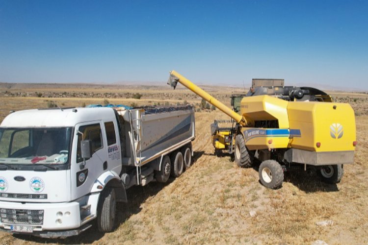 Kayseri Talas'ta aspir mesaisi başladı -