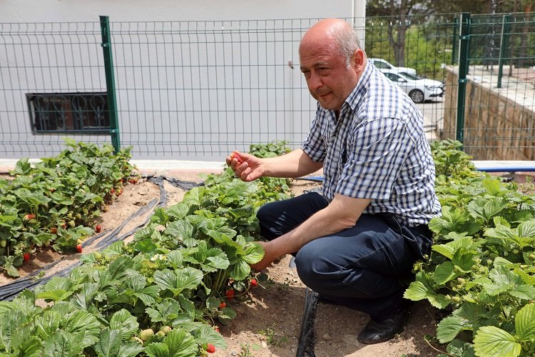 Kayseri Talas'tan deneme bahçelerine teşvik -