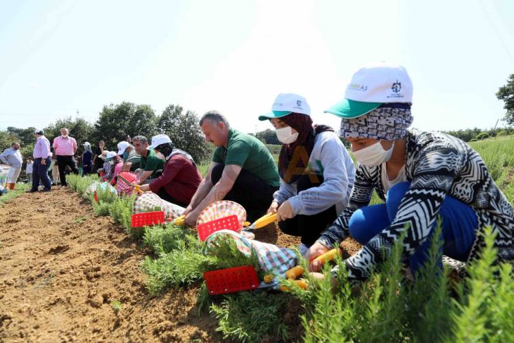 Kentten kırsala teşvik projesi