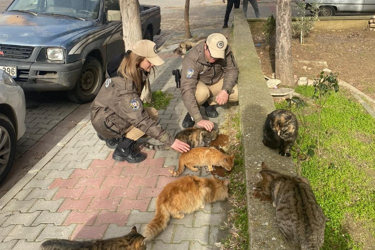 Keşan'da polis ekipleri sokak hayvanlarını besledi -