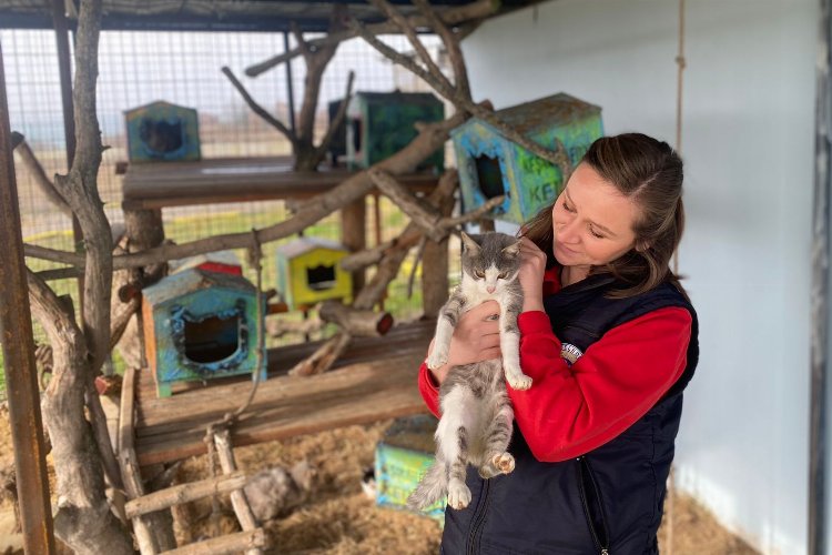 Keşan'da yılın ilk yarısında 2 bini aşkın can dost tedavi edildi -