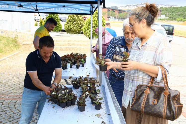 Kocaeli bayramda 'çiçek' gibi -