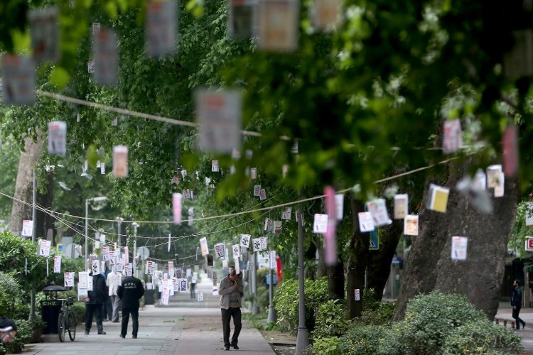 Kocaeli Cumhuriyet Bulvarı’nda ağaçlar kitap açacak -