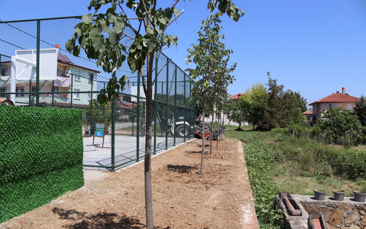 Kocaeli’de Çubuklubala Parkı yeşillendi