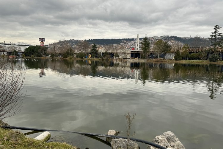 Kocaeli'de 'Millet'in göletinde ekosistem gelişecek -