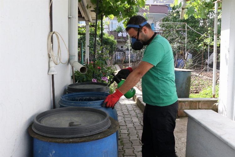 Kocaeli'de sivrisineklerle mücadele çalışmaları sürüyor -