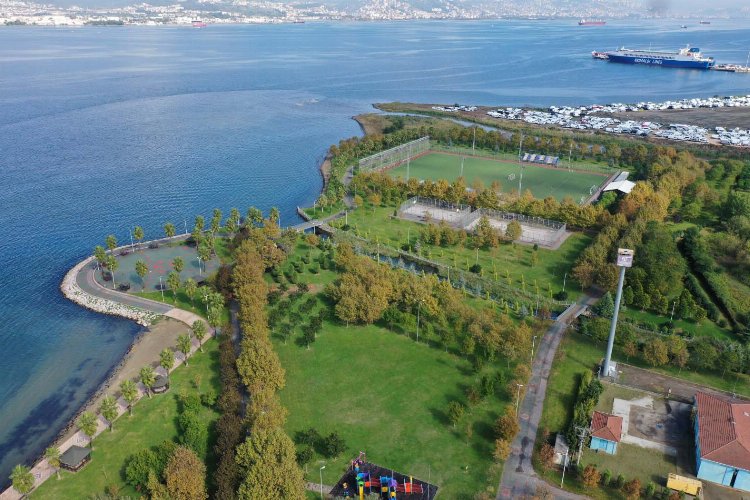 Kocaeli'den yeşil vatana dev katkı -