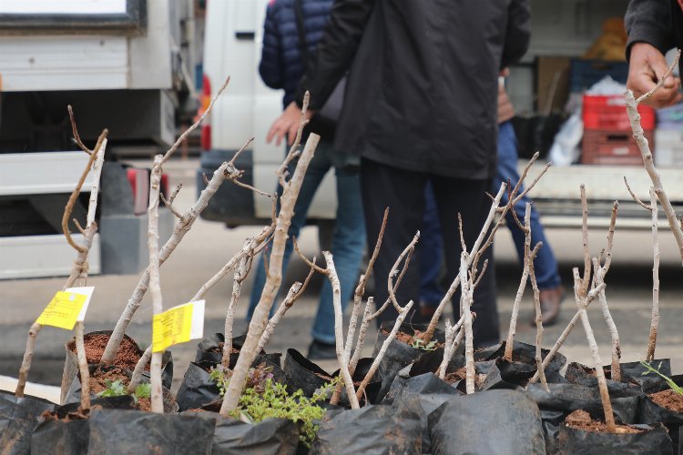 Konya'da kırsala 'Antep Fıstığı' desteği -