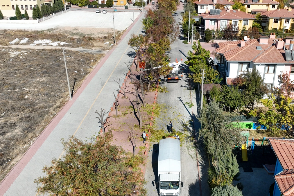 Konya Selçuklu'da ağaçlar budanıyor... Atıklar kompost gübreye dönüştürülüyor -