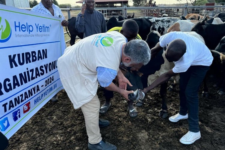 Kurban bağışları dünya mazlumlarının sofrasına ulaşacak -