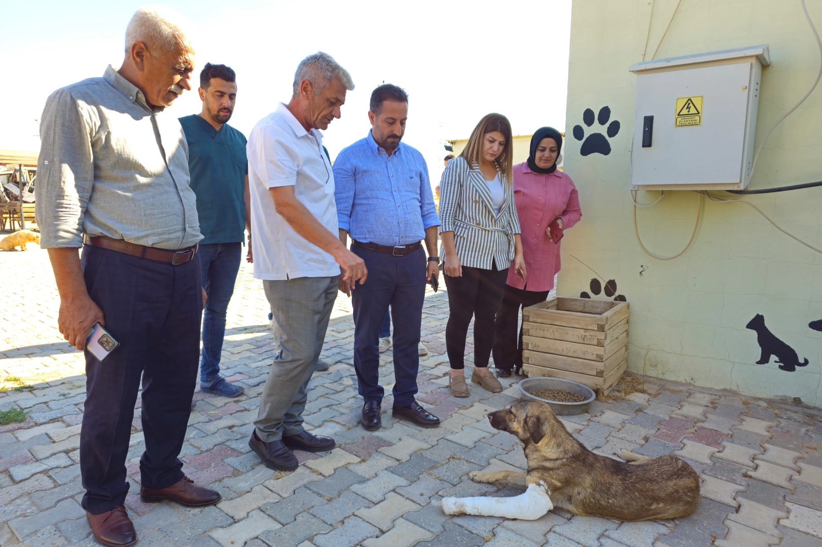 Kızıltepe'de tedavi gören sokak hayvanlarına ziyaret -