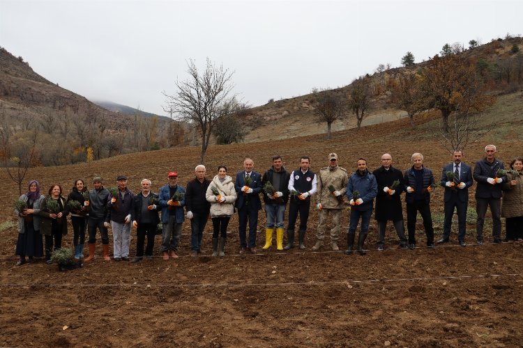 Lavanta turizmi Ordu'yu ihya edecek -