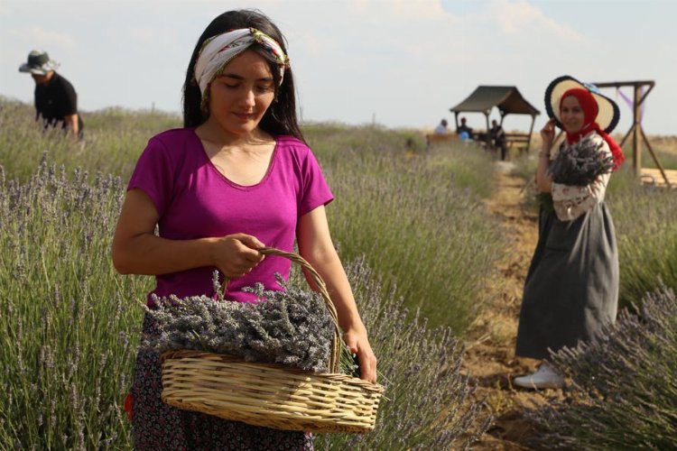 Malatya Arguvan'ın güzellikleri objektiflere yansıdı -